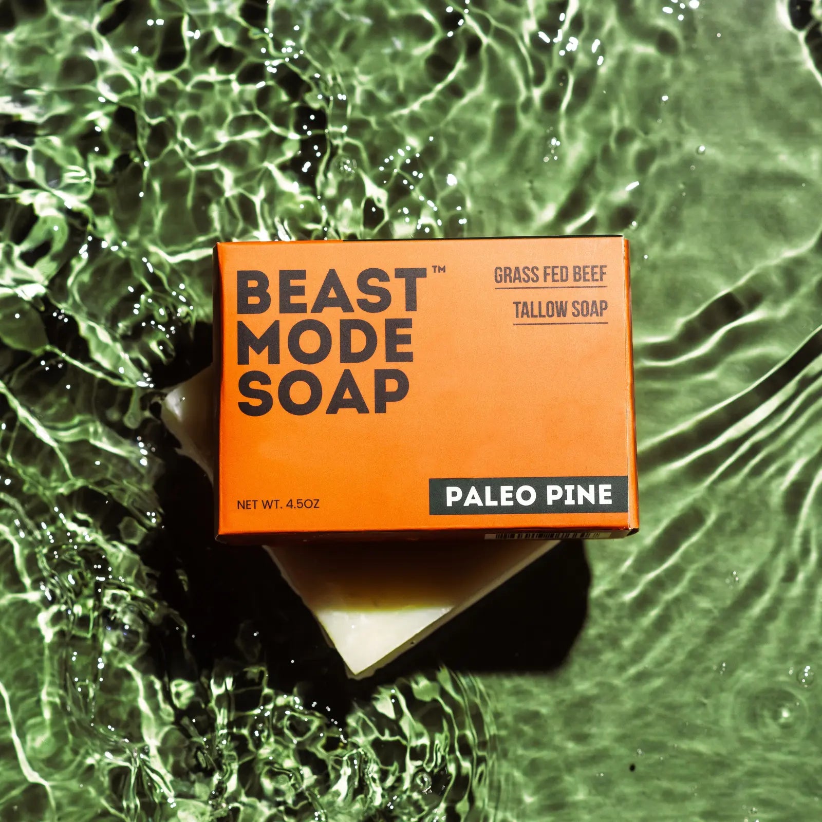 #scent_Paleo Pine