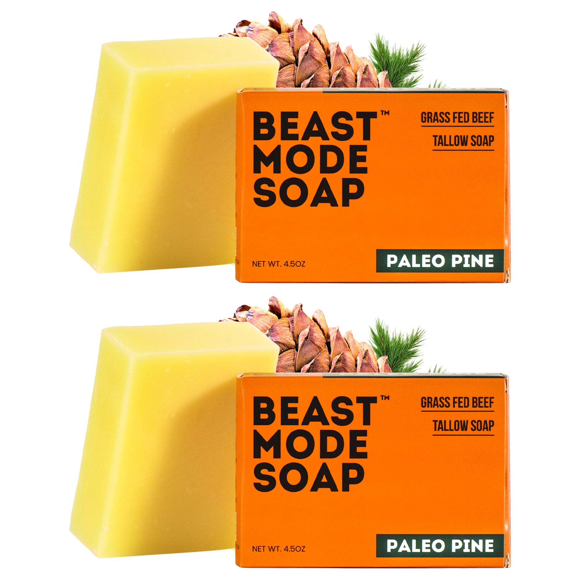 #scent_Paleo Pine