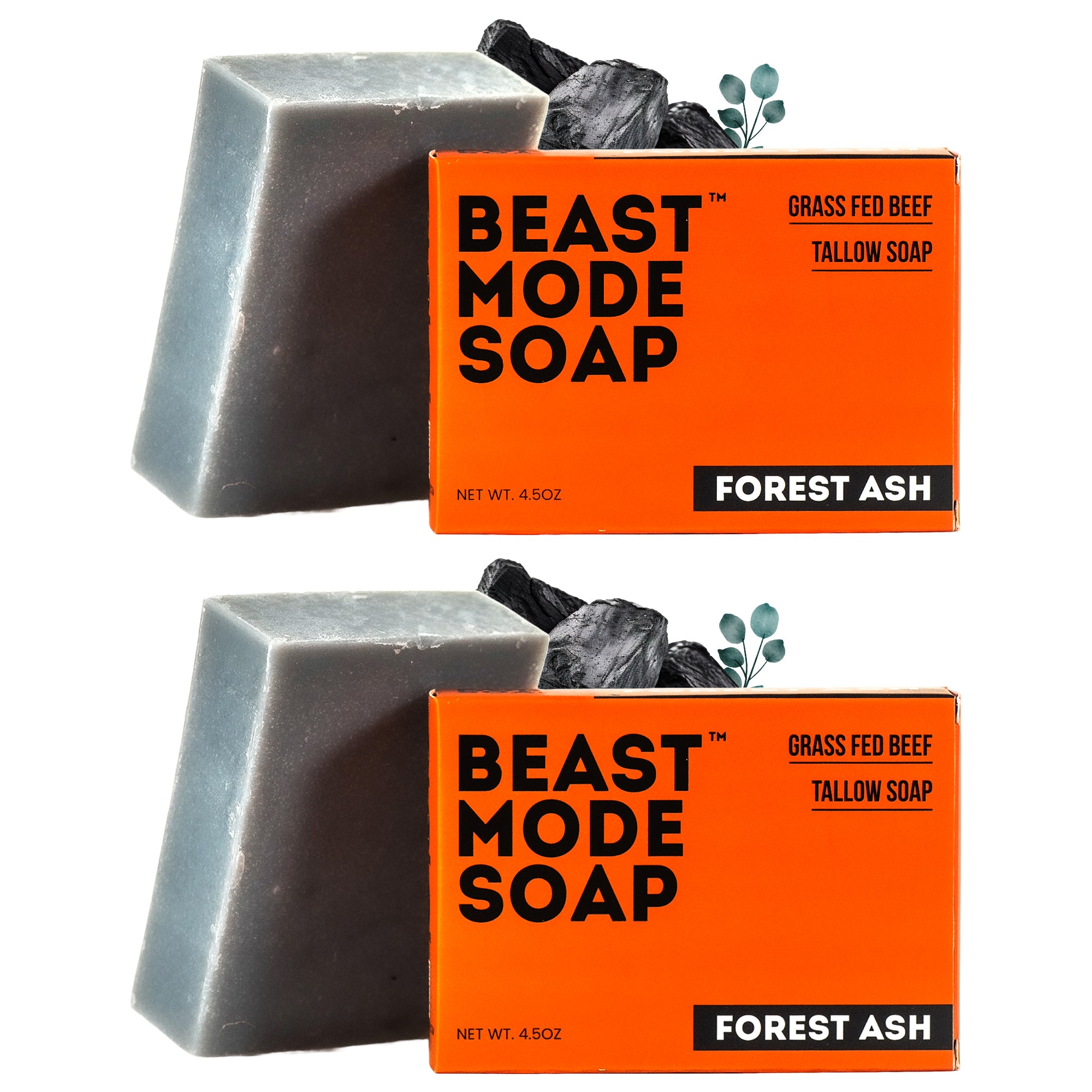 #scent_Forest Ash